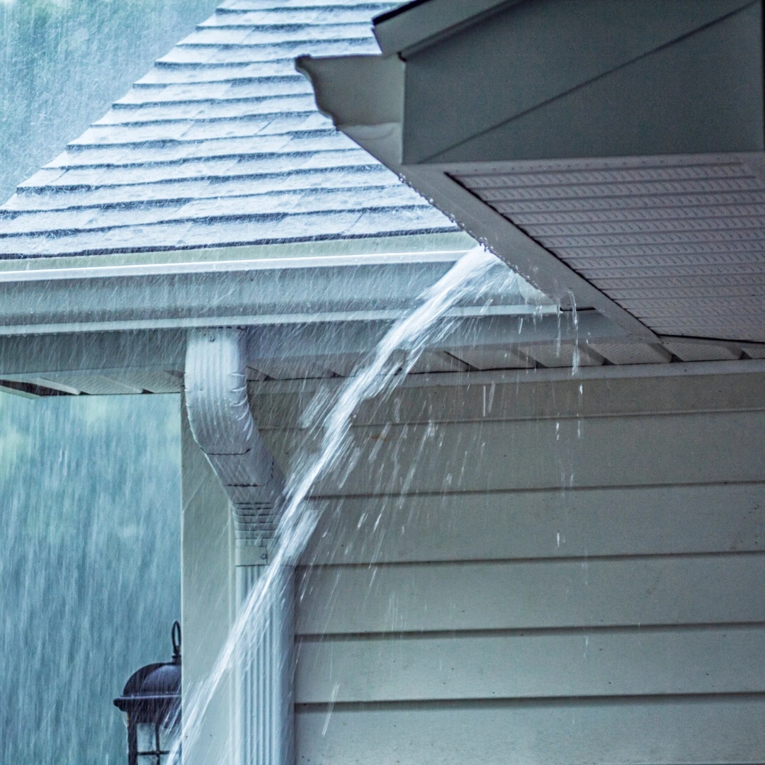 Window Leak Water Damage in Williamsburg in the Woods: Storm Intrusion Help